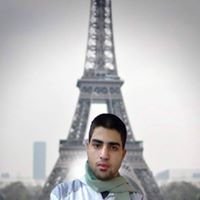 Ahmed Elganzory chat bot