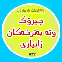 چیرۆک،وتە بەنرخەکان،زانیاری chat bot